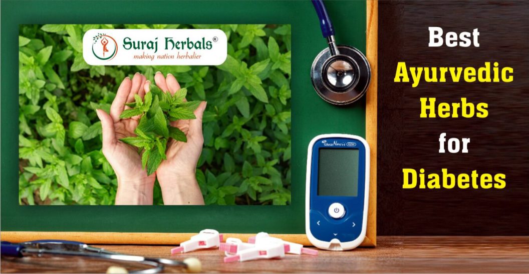 Best Ayurvedic Herbs and Medicine for Diabetes Treatment