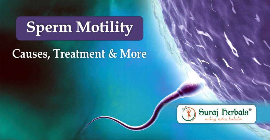 Low Sperm Motility