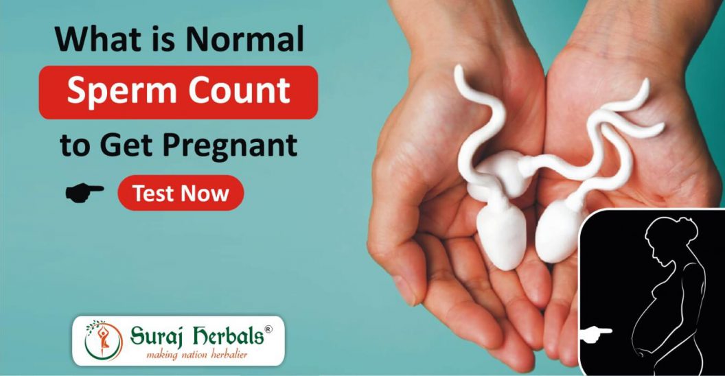 What is Normal Sperm Count to Get Pregnant - Test Now