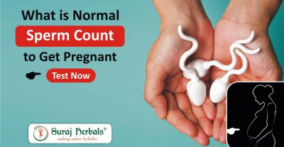 What is Normal Sperm Count to Get Pregnant – Test Now?