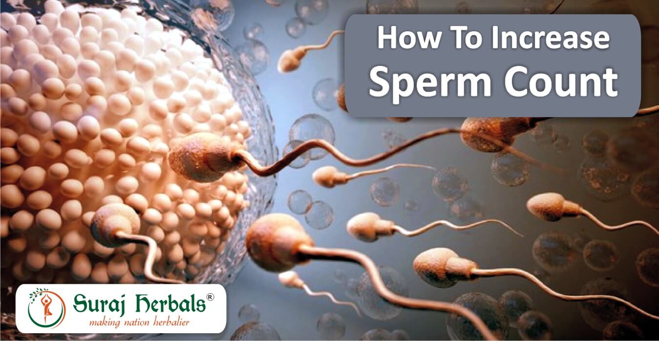 How to Increase Sperm Count in Natural Ways?