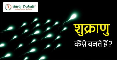 Shukranu Kaise Banthe Hain | What is Sperm in Hindi