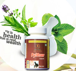 Ayurveda experts have developed PylOsur
